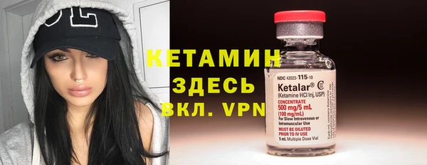сатива Карпинск