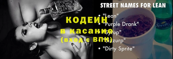 сатива Карпинск