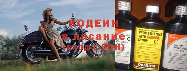 сатива Карпинск