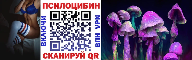 Псилоцибиновые грибы Cubensis Купить где Уржум