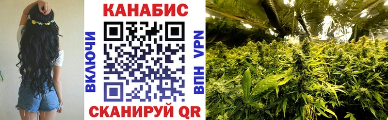 Купить закладки  Уржум  Бошки марихуана OG Kush 